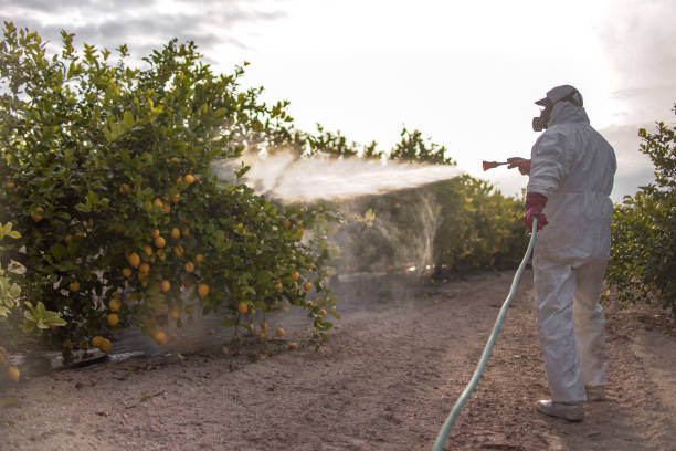 Professional Pest Control in Sloan, NY
